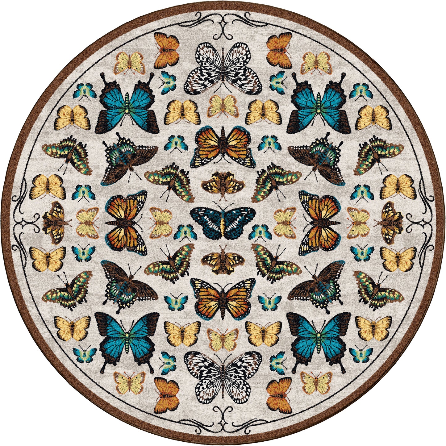 English Collector Cabinet | Butterfly Multi
