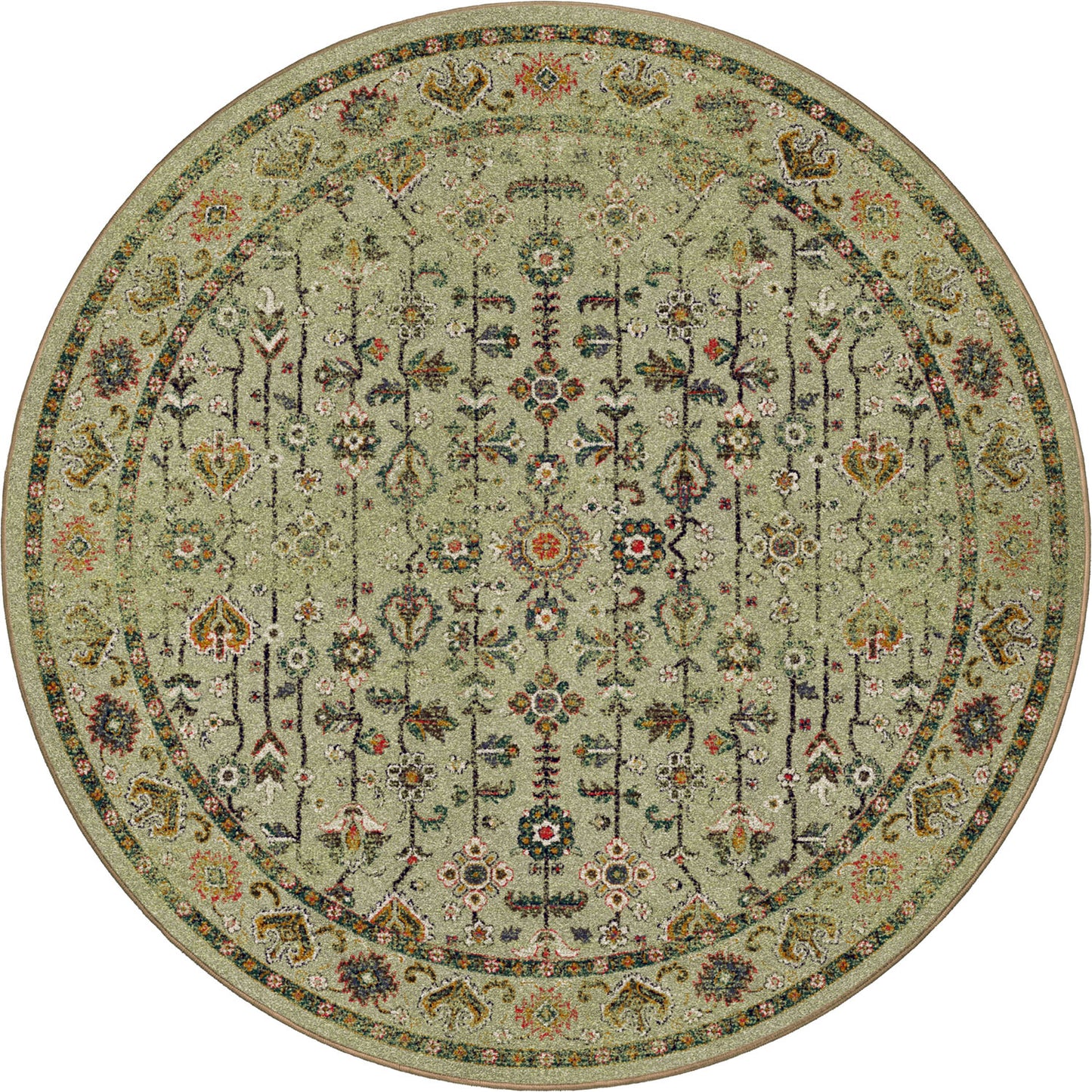 Let's Talk Persian | Olive