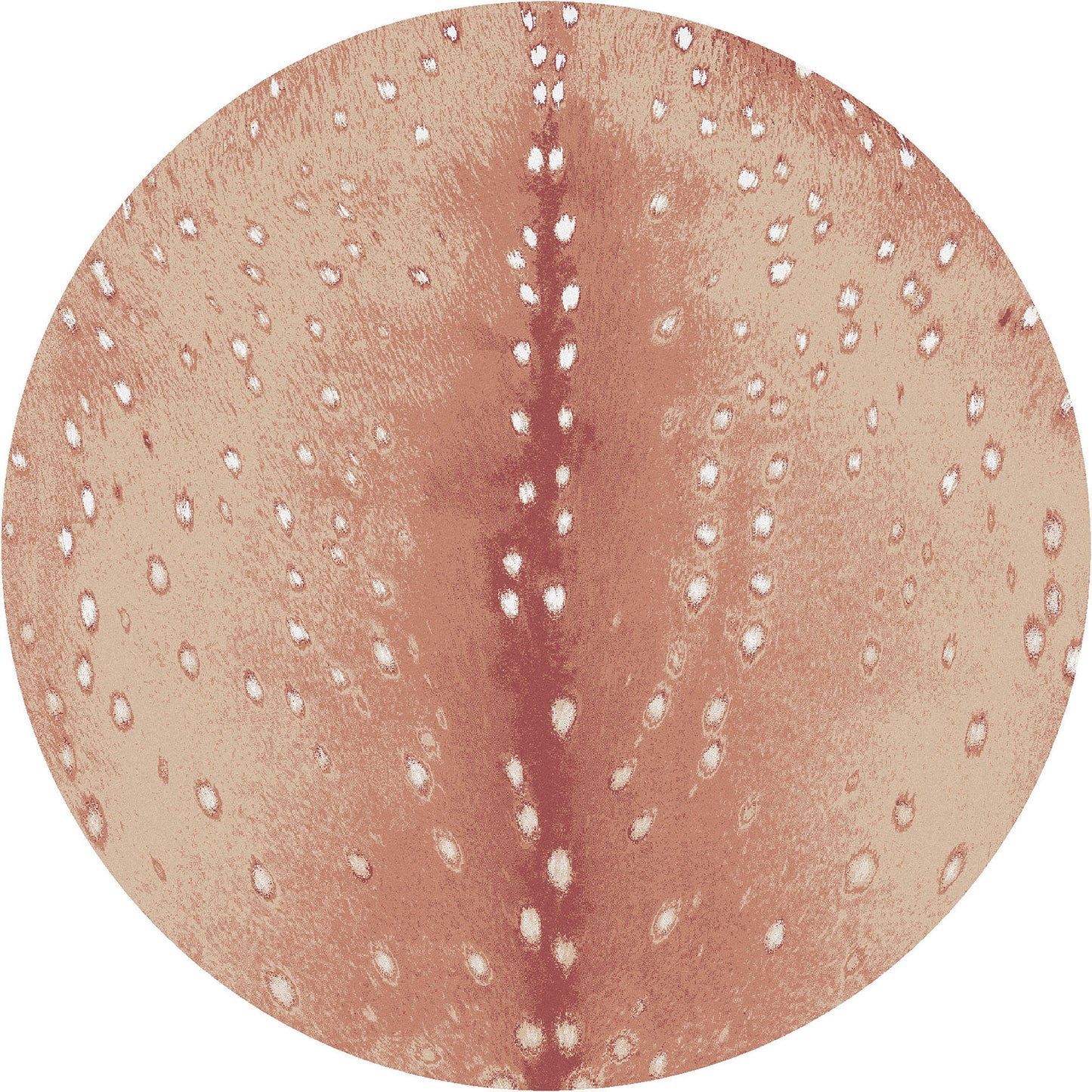 Spotted Hide | Blush