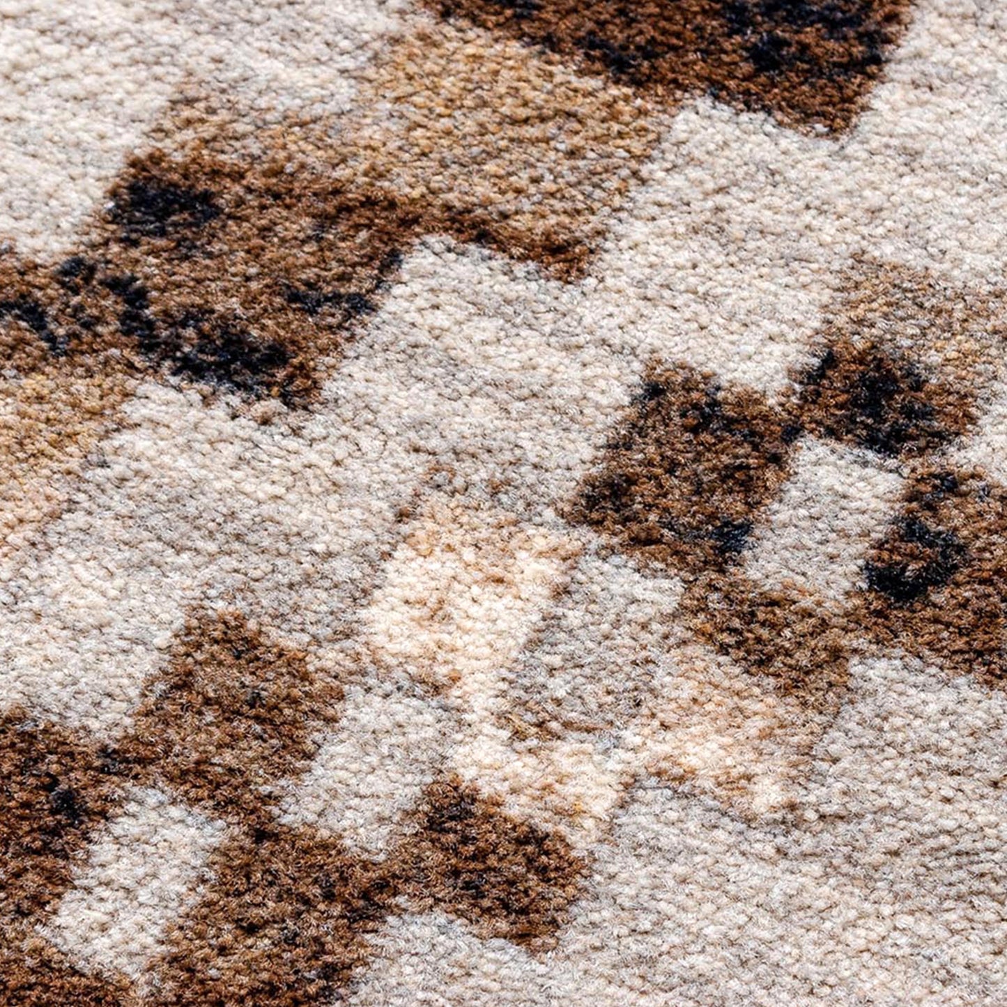 Curio Zebra | Natural