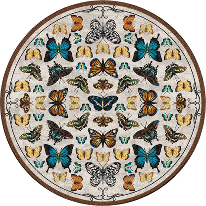 English Collector Cabinet | Butterfly Multi