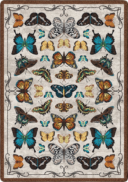 English Collector Cabinet | Butterfly Multi