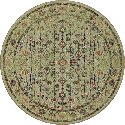 Let's Talk Persian | Olive