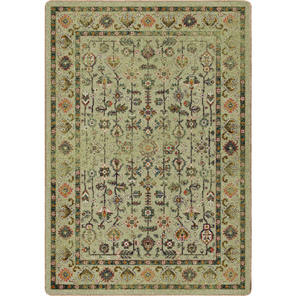 Let's Talk Persian | Olive