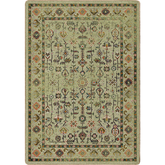 Let's Talk Persian | Olive