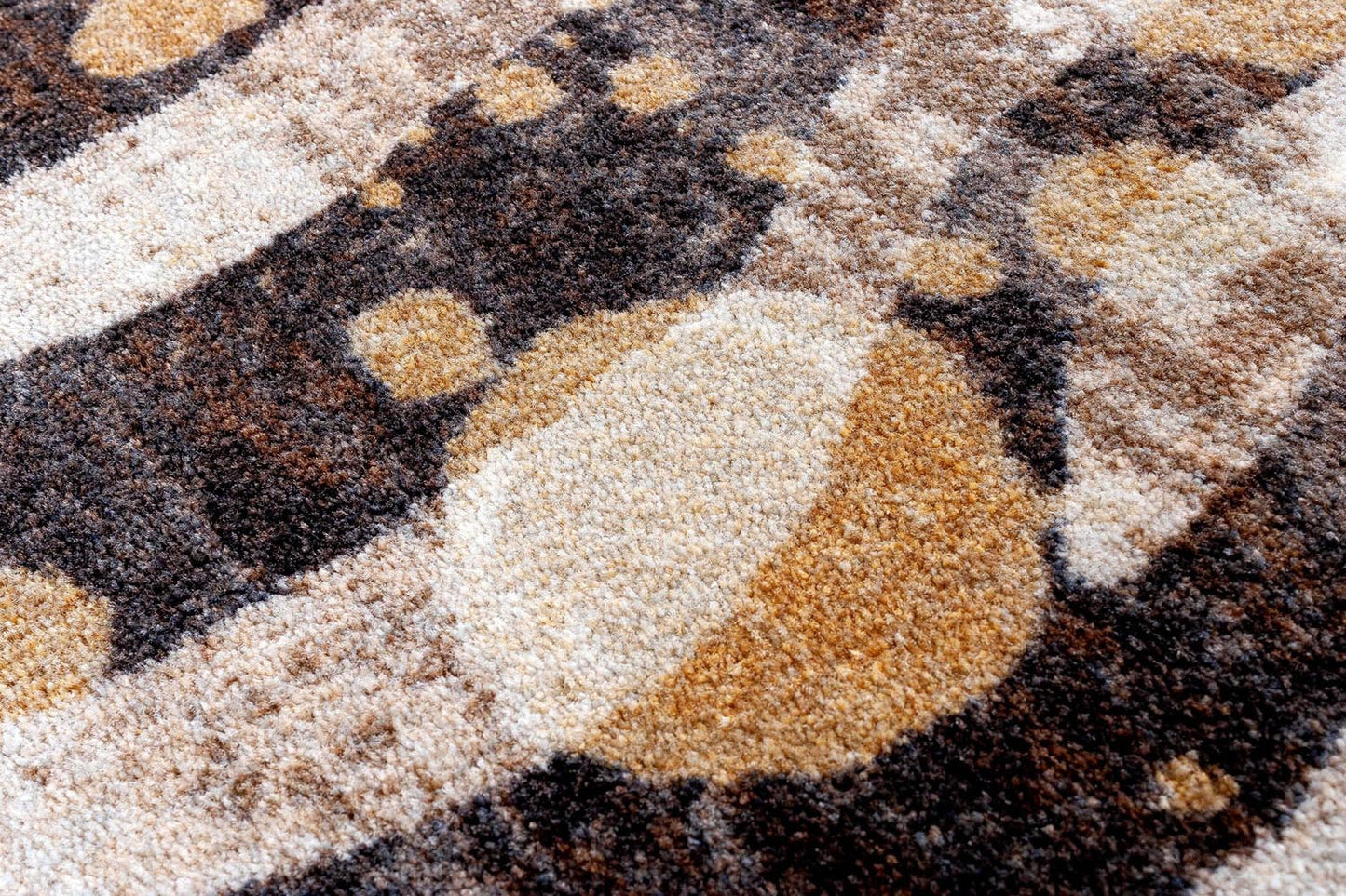 Modern Zebra | Gold Splash