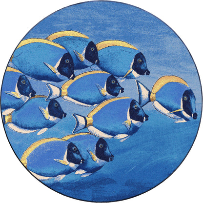 Serenely Beautiful | Ocean Blue